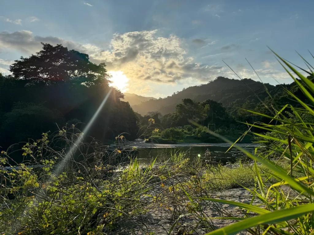 Sunset over the Tayrona jungle in Colombia, with sunlight streaming through the trees and reflecting on the river.